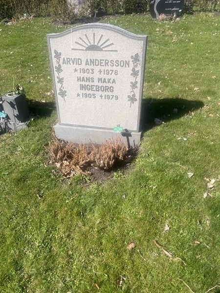Grave number: 1 3 F1 294