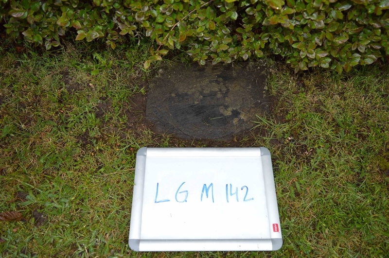 Grave number: LG M   142