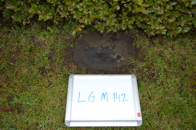 Gravnummer: LG M   142