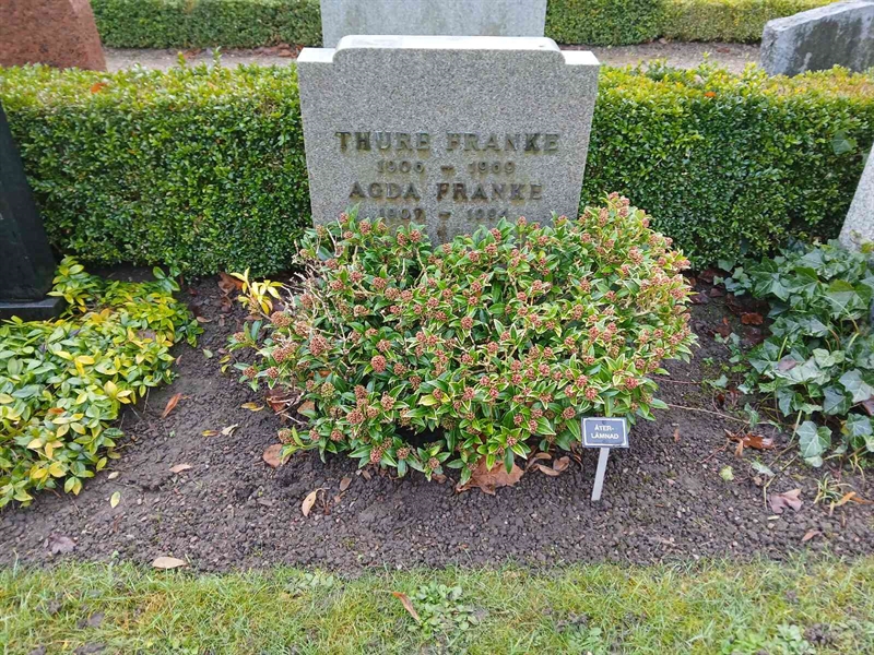 Hautatunnus: Si U     2