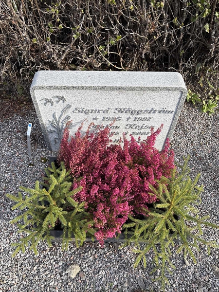 Grave number: 4 N ND   287