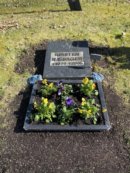 Hautatunnus: 1 29     48