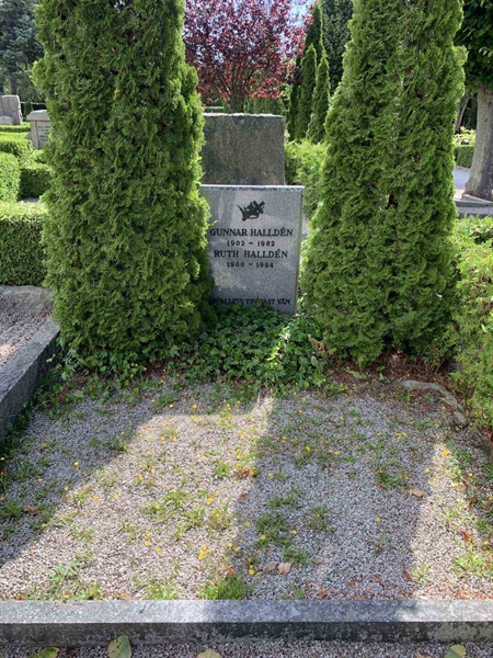 Grave number: NK VIII    33