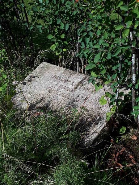 Gravnummer: NK F A   111