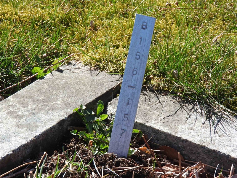 Gravnummer: BK B   156-157