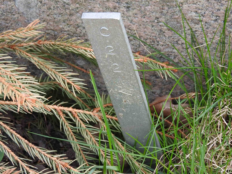 Hautatunnus: BK C    22