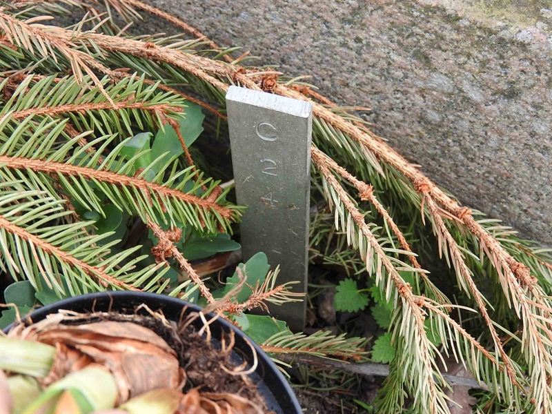 Hautatunnus: BK C    24