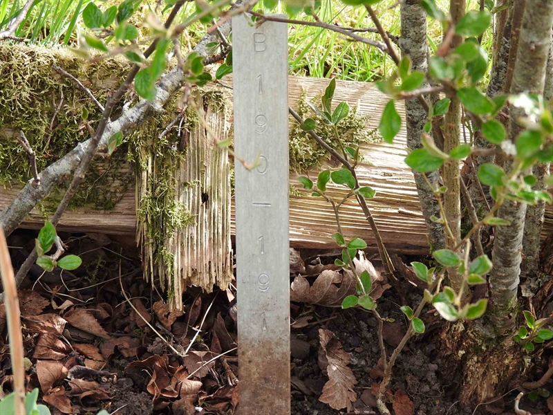 Gravnummer: BK B   190-191