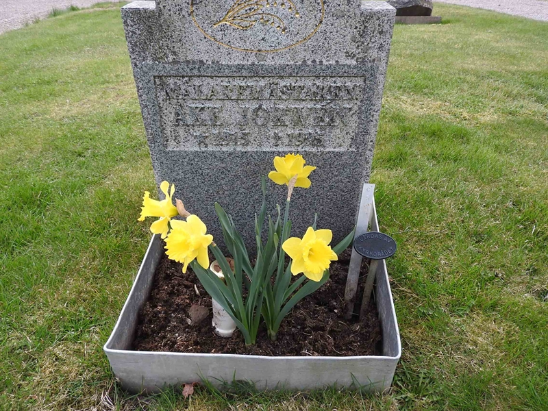 Hautatunnus: BK C    59