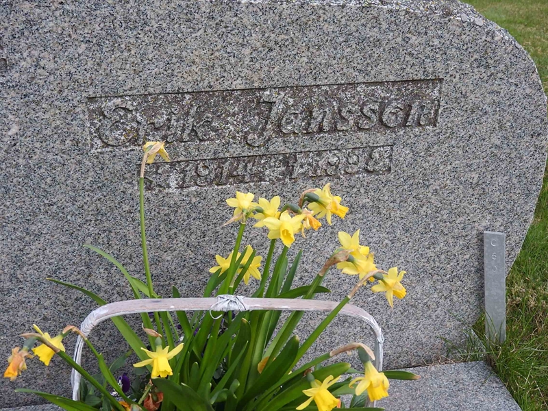 Hautatunnus: BK C    50