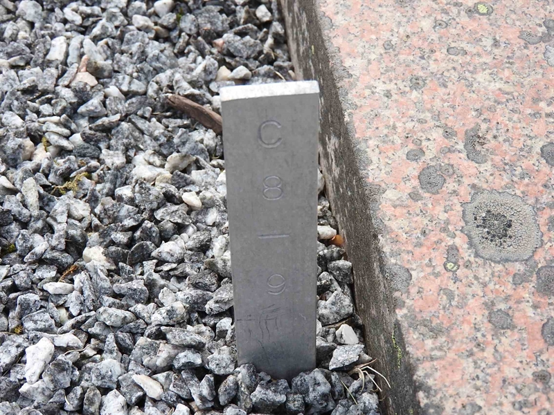 Hautatunnus: BK C     8-9