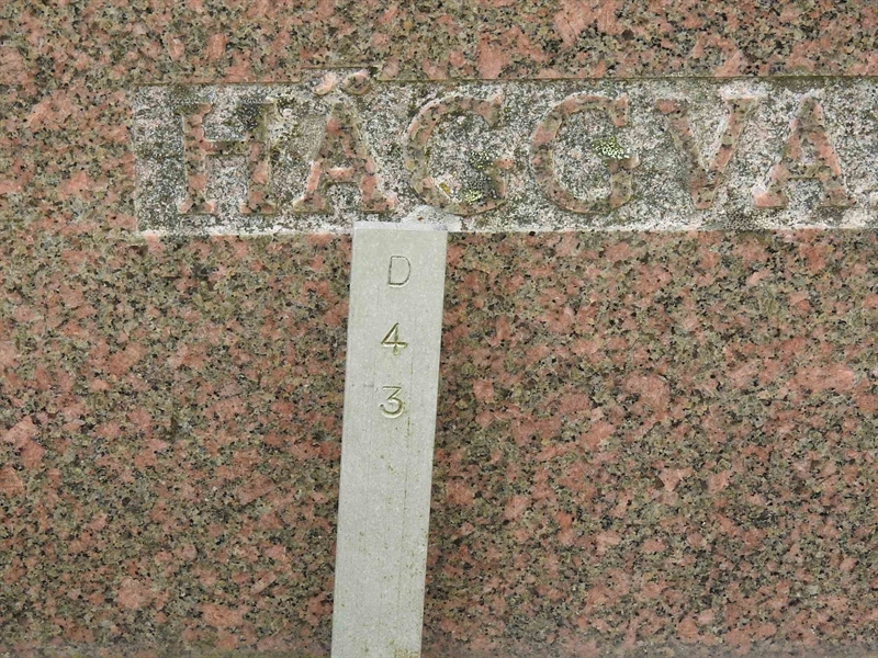 Gravnummer: BK D    43