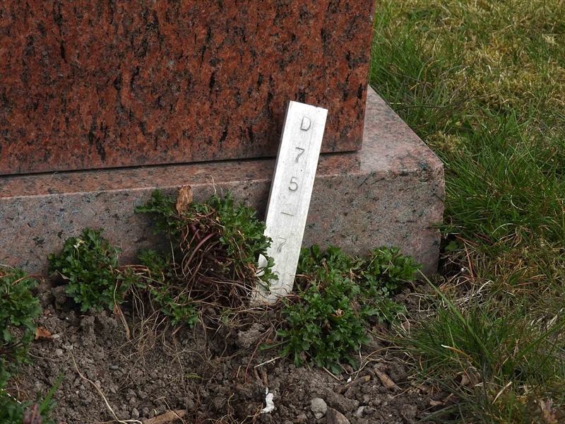 Gravnummer: BK D    75-76