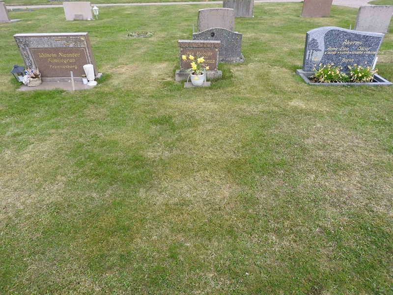 Gravnummer: BK D    81