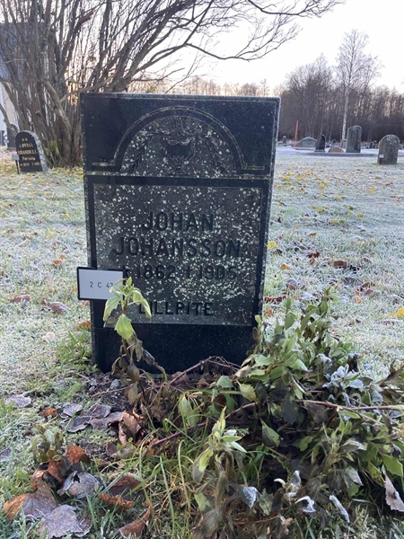 Gravnummer: 2 C    42