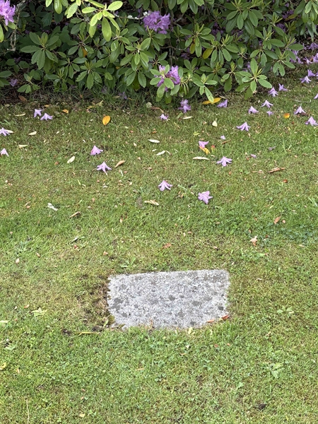 Grave number: SKF E    53