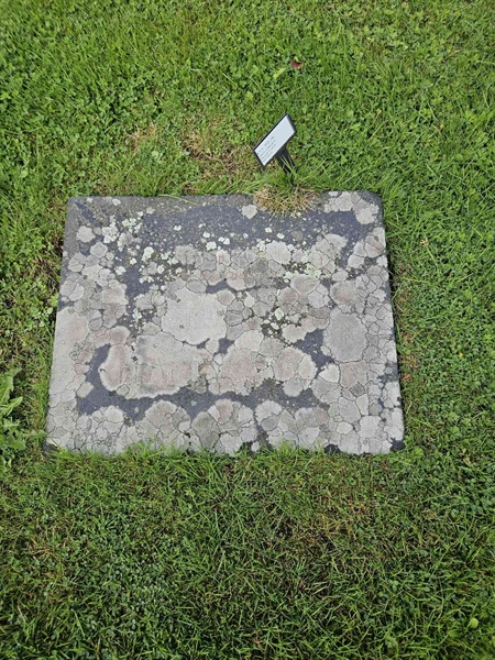 Hautatunnus: Fr 5   392-393