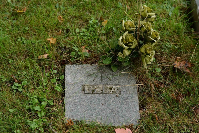 Grave number: 5 2   198