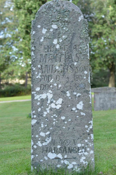 Grave number: 1 2   145
