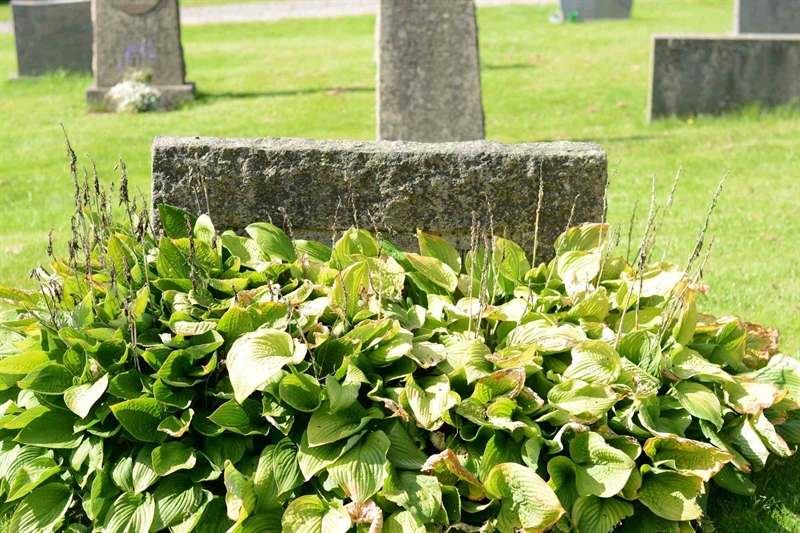 Grave number: 1 1   187-188