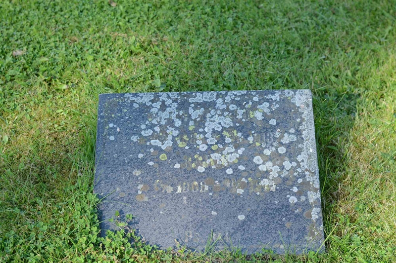 Grave number: 1 1    83