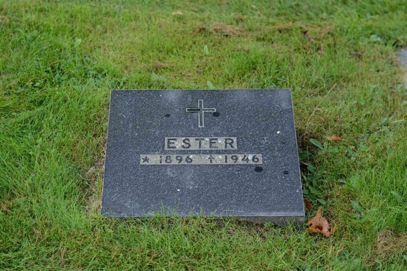 Grave number: 5 2    29