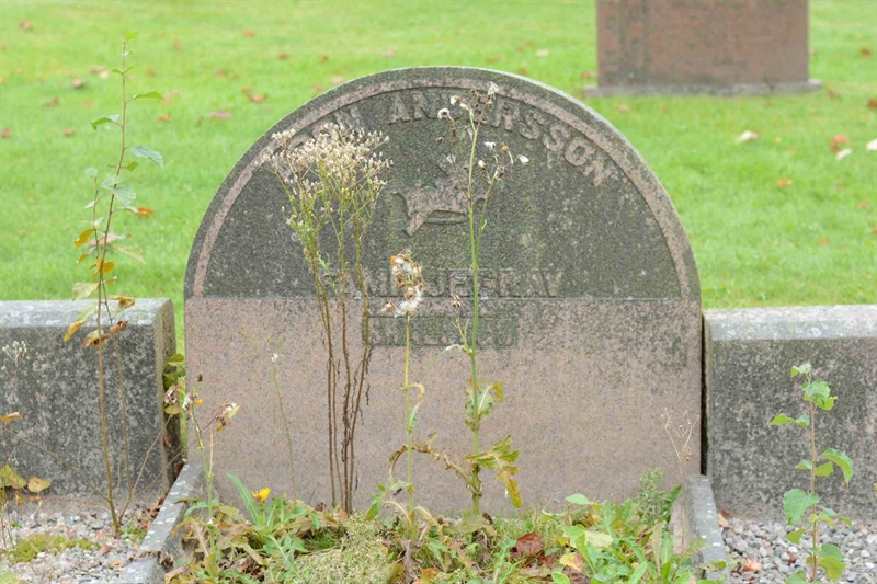 Grave number: 1 2   105