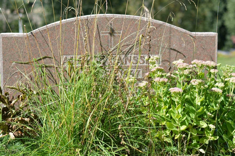Grave number: 1 1   226-227