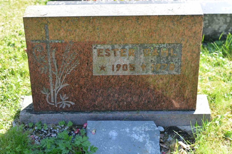 Grave number: 1 3    59