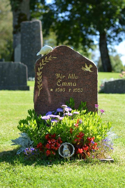 Grave number: 1 1   257-259