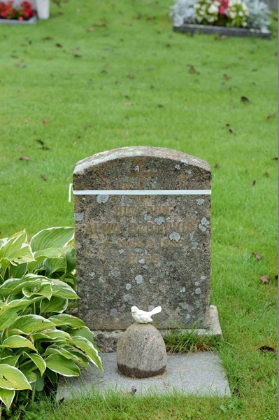 Grave number: 5 3    37
