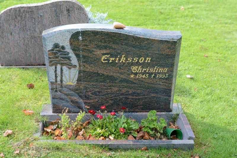 Grave number: 1 18   212-213