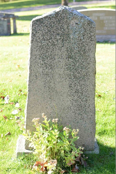 Grave number: 1 2   144