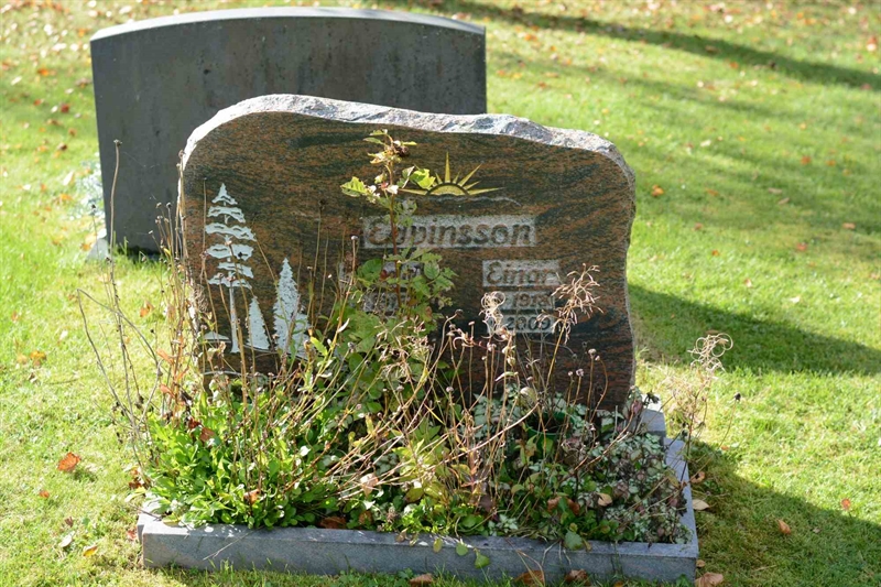 Grave number: 1 18    80-81