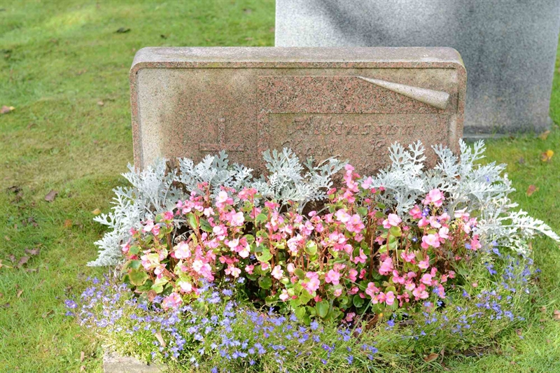 Grave number: 2 3   218-219