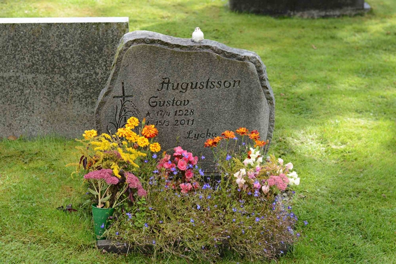 Grave number: 2 3   184-185