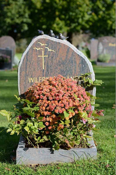 Grave number: 1 18    16