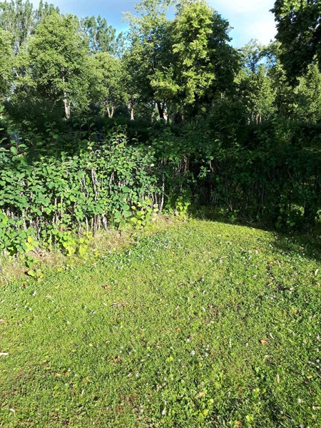 Gravnummer: GK F 5   454