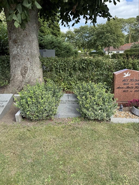 Grave number: ON C   655