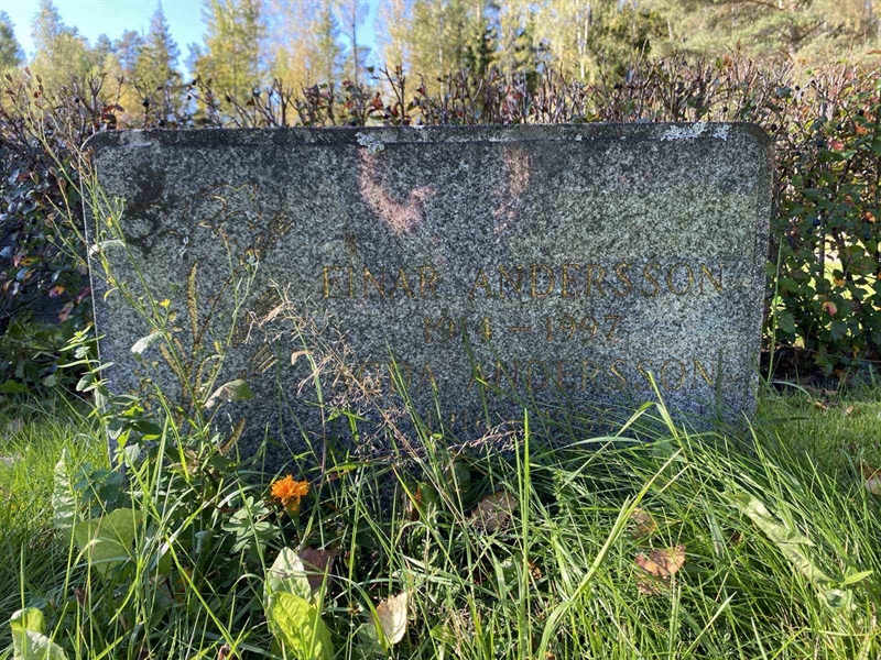 Grave number: 1 22     50