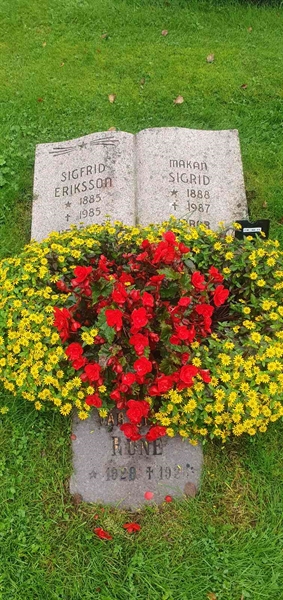 Hautatunnus: 1 K    10-11