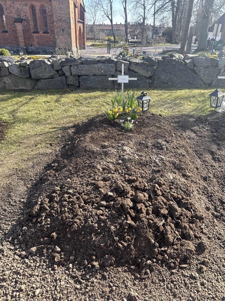 Gravnummer: SI 11  4008