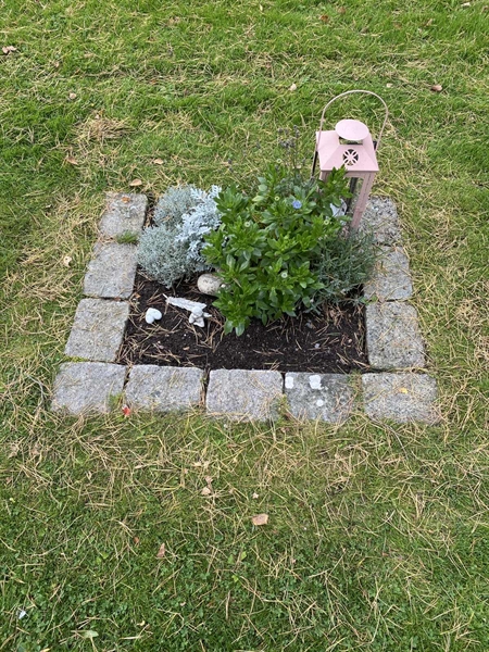 Hautatunnus: 2 C   436-437