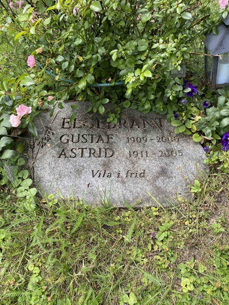 Gravnummer: 1 NA   734