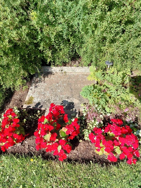 Hautatunnus: 1 D   005