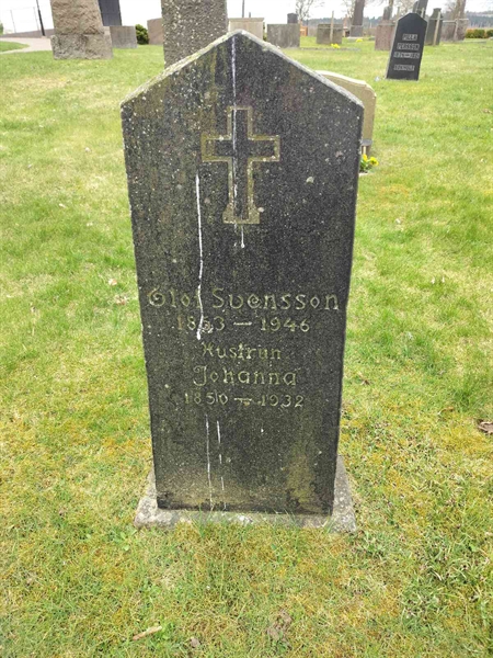 Gravnummer: TÖ 4   133