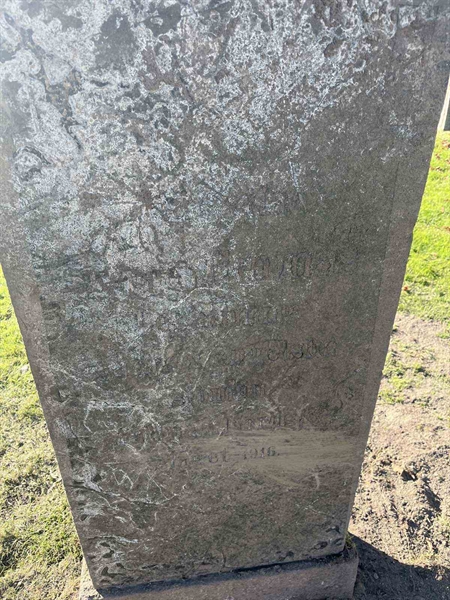 Gravnummer: 8    19-2