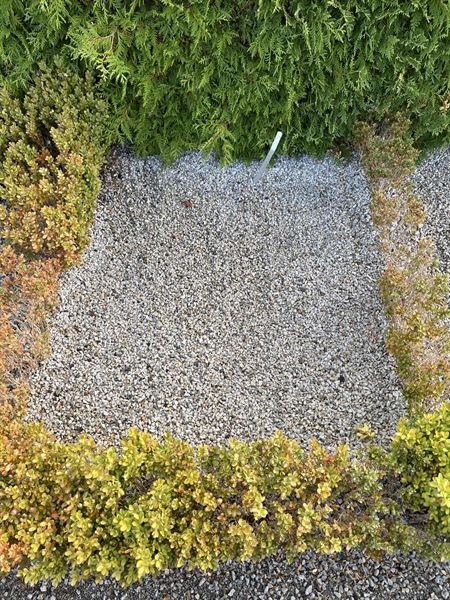 Grave number: NK Urn n    14
