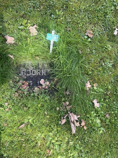 Grave number: 1 3 A1   352