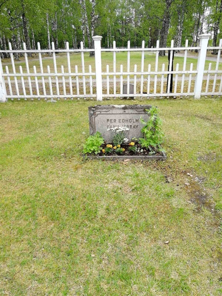 Hautatunnus: NK 01    11